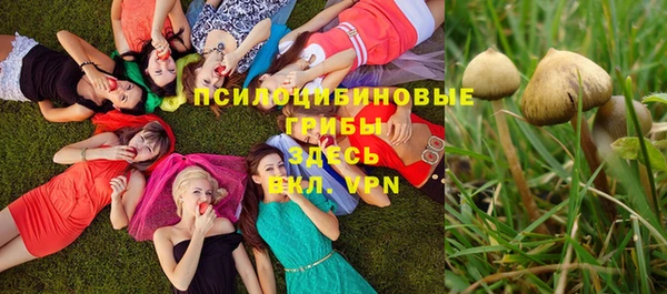 мдпв Заволжск